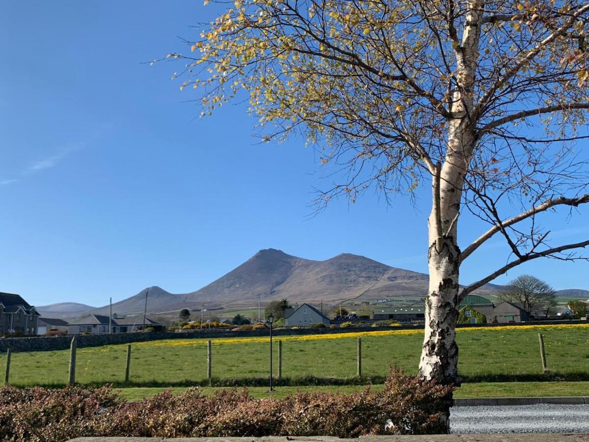 Lovely 2-Bed Cottage At The Foot Of The Mournes Newry Bagian luar foto