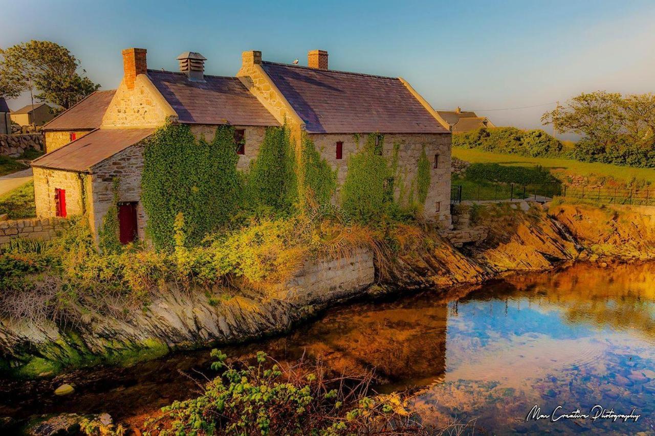 Lovely 2-Bed Cottage At The Foot Of The Mournes Newry Bagian luar foto