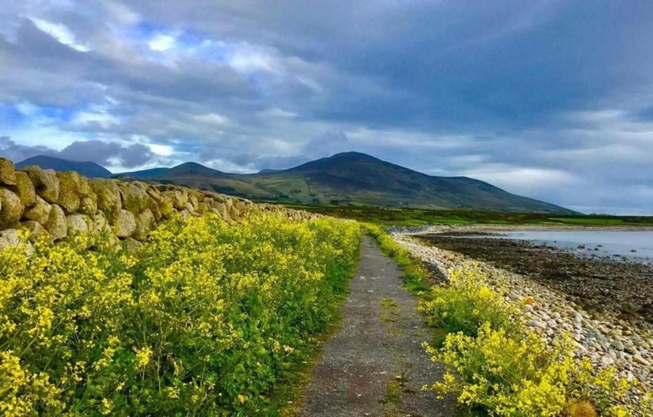 Lovely 2-Bed Cottage At The Foot Of The Mournes Newry Bagian luar foto